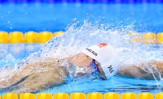 九游VIP-福克斯独舞珠江畔，深圳队轻取广东队锁定年度焦点之战