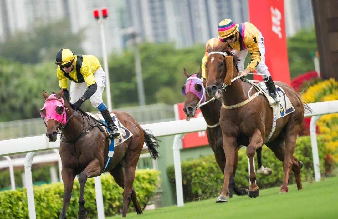 国内强队备战备受看好,决意夺得胜利的简单介绍 国内强队备战备受看好,决意夺得胜利的简单介绍