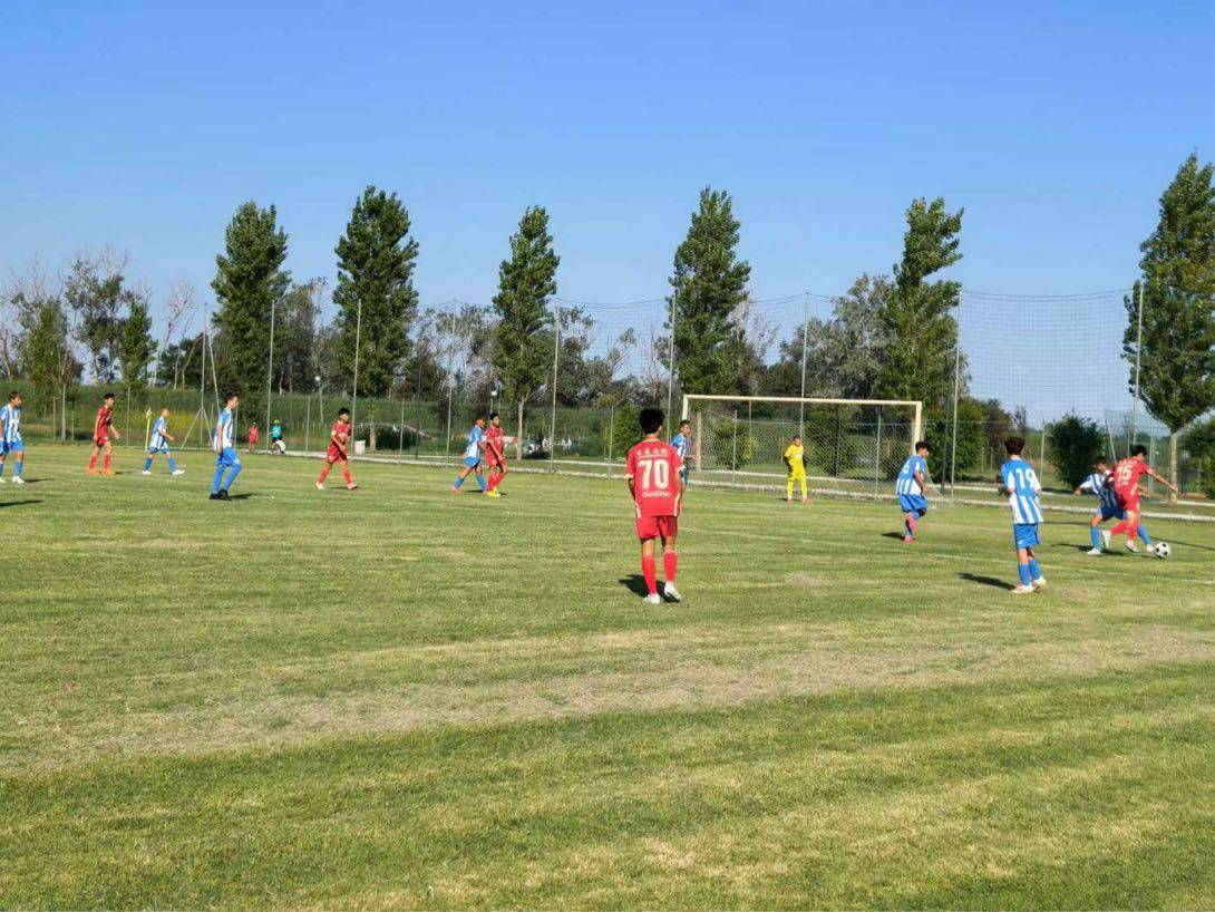 意大利足球赛事将引进新科技,提升比赛体验的简单介绍 意大利足球赛事将引进新科技,提升比赛体验的简单介绍